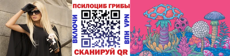 darknet официальный сайт  Алапаевск  Псилоцибиновые грибы Magic Shrooms  где продают наркотики  кракен рабочий сайт 