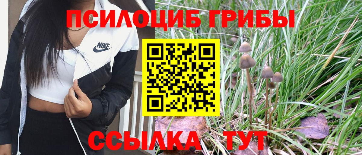 Алапаевск  Галлюциногенные грибы GOLDEN TEACHER  Вход с VPN 
