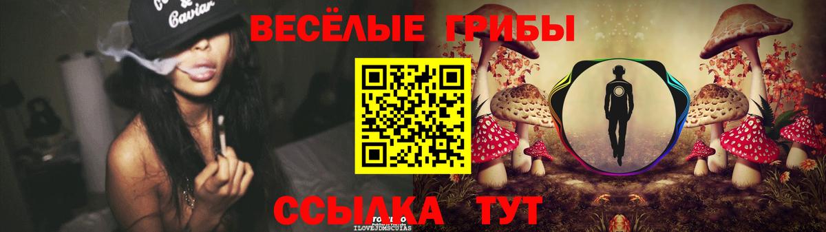Псилоцибиновые грибы мицелий Алапаевск
